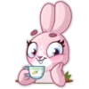 Rosy Bunny 24