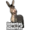 Shrek 24