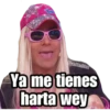 @raffadiaz
Ya me tienes
harta wey