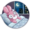 Rosy Bunny 25