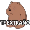 TEEXTRAÑO