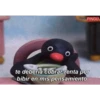 Frases Pingu 27