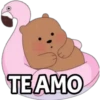 TEAMO