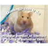 Domingo con D de
Deja de perder el tiempo
y ponte a estudiar tkm