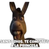 Shrek (parte 2) 27