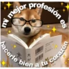 mejor profesión
mi
parapres
hacerle bien a tu corazón
CORN FORE
R8:22-792
RE 727 72
T
Din
K
WWW.
9784847096907
es
2007601380