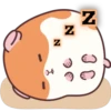 Z.
N