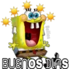Bellies
BUENOS DIAS