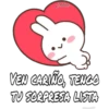Conejita Hot (Anel y John) 20