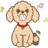 Poodle Doodle 15