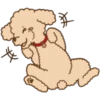 Poodle Doodle 16