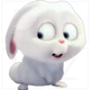Conejo Snowball 7