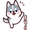Husky 6