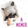 SHHH
A
MIMIR
Giseelove