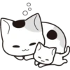 ❁Mix de gatitos 6