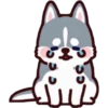 Husky 9