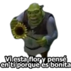 Vilesta flory pensé en til porque es bonita