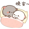 晚安~