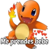 Pokemon 1.0 14
