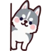 Husky 11