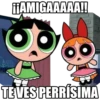 ¡¡AMIGAAAAA!!
TEVES PERRÍSIMA