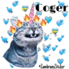 Catcorn 10
