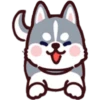 Husky 16