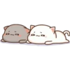 Mochi Mochi Cat 17