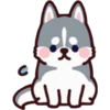 Husky 19