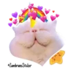 Catcorn 11