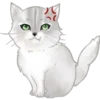 ❁Mix de gatitos 16