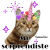 Catcorn 12