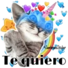 Catcorn 14
