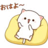 おはよ~