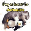 Roya hacer la
dormistón
Giseelove