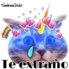 Catcorn 16