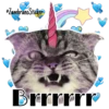 Catcorn 17