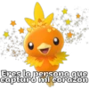 Pokemon 1.0 23