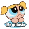 Me gritaste