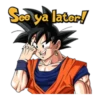 Dragon Ball 3 24