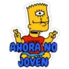 simpsons 14