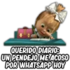 QUERIDO DIARIO:
UN PENDEJO ME ACOSO
POR WHATSAPP HOY