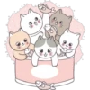 ❁Mix de gatitos 24