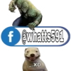 f @whatts591 ._.XD