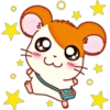 Tottoko mouse 25