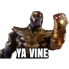 YA VINE