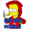 simpsons 17