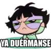 YA DUERMANSE