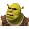 SHREK 28