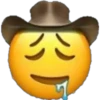 公